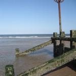 Low Tide