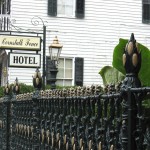 Cornstalk