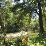 Fluss Fluss