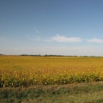 Illinois im Herbst Illinois im Herbst