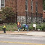 Lion on the street