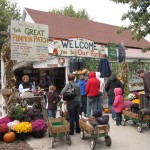 Pumpkin Patch in Arthur, IL