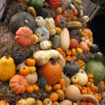 Even more pumpkins