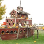 Pumpkin Arche Noah