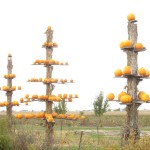 Pumpkin Marterpfähle