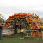 Pumpkin Rainbow