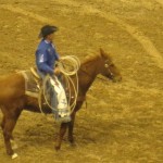Sicherheits Cowboy
