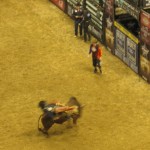 Bullride