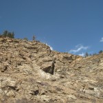 Rocking Rockies