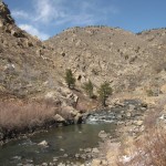 Looking for Gold